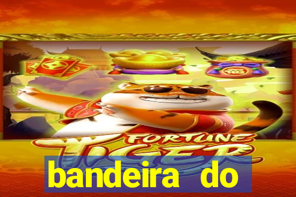 bandeira do flamengo para copiar